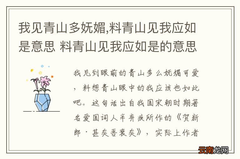 我见青山多妩媚,料青山见我应如是意思 料青山见我应如是的意思