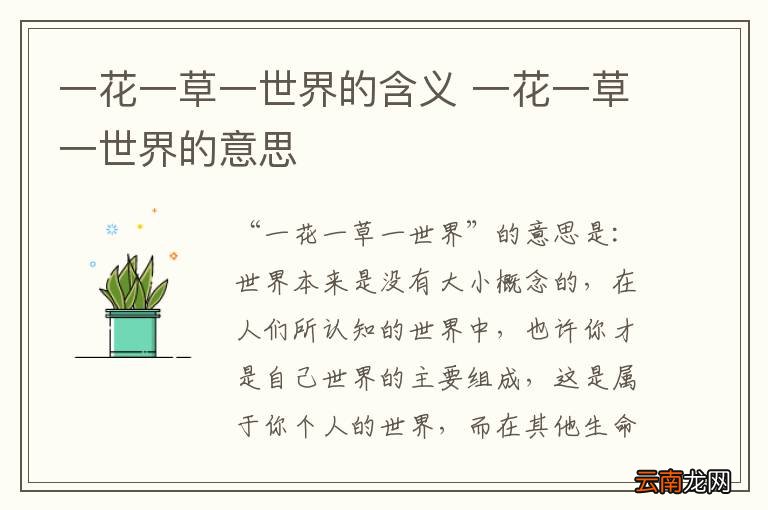 一花一草一世界的含义 一花一草一世界的意思