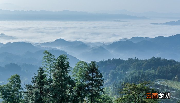 生活不止有诗和远方,也有眼前的美好的意思 生活中不止有诗和远方