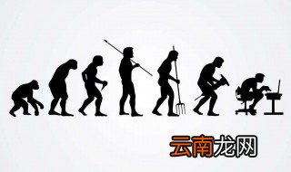什么叫o系来源 关于分子人类学的简介