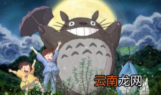养龙猫的注意事项 新手可以看看