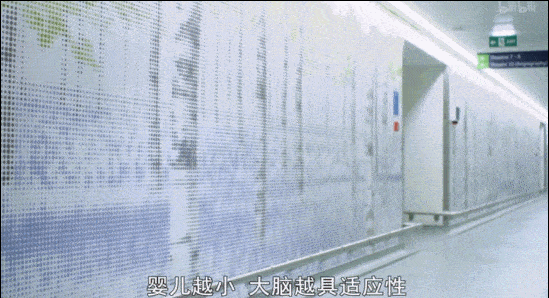 这3部高分育儿纪录片，看完颠覆你的教育观！