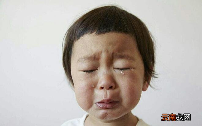 幼儿园老师：在学校经常被人欺负的孩子，通常背后有这样的父母
