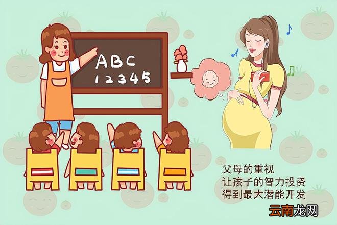 二胎家庭里，为何大宝普遍智商高，二宝情商高？背后的原因要知晓