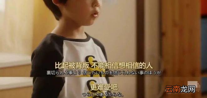 5岁独居男孩吃纸果腹，他的“忏悔”，看哭无数父母