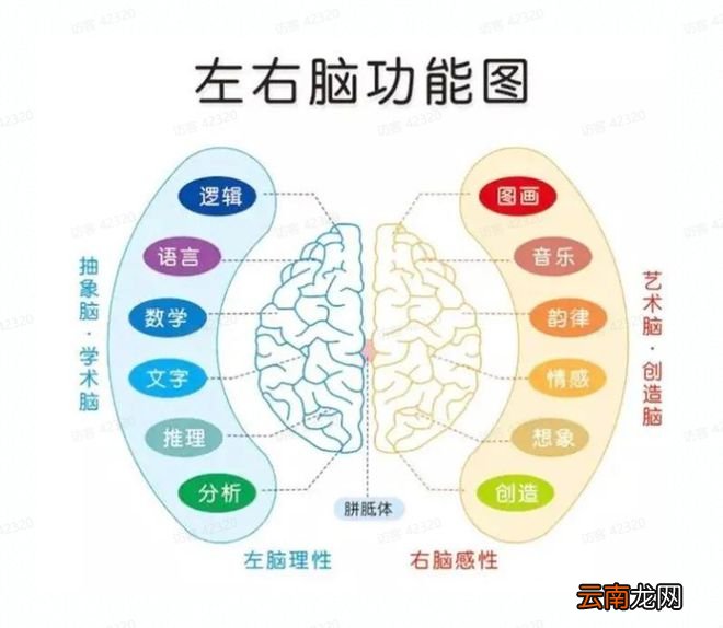 为什么会表达的孩子，一开口就赢了？答案是在3岁前.....