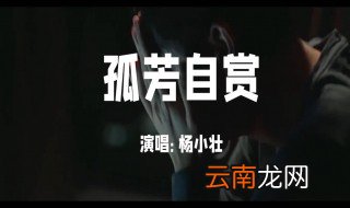 蒙面唱将杨小壮是哪一期 歌手的心酸历史