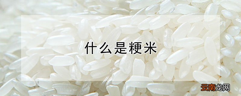 什么是粳米