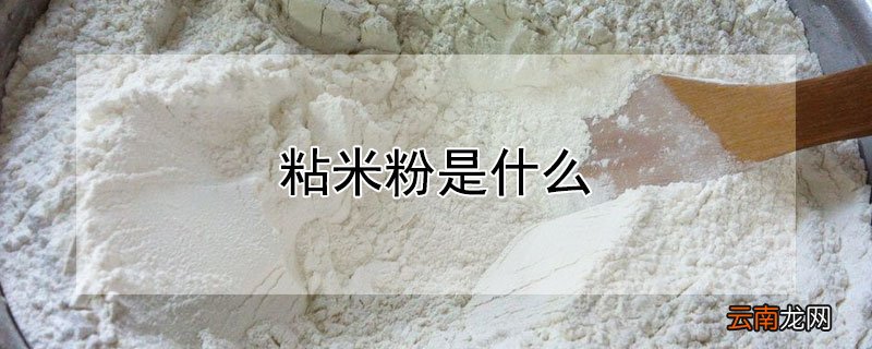 粘米粉是什么