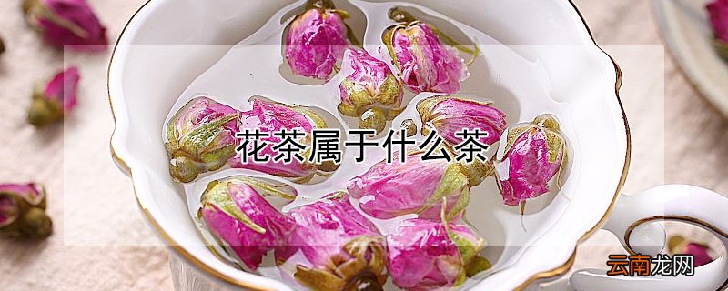 花茶属于什么茶