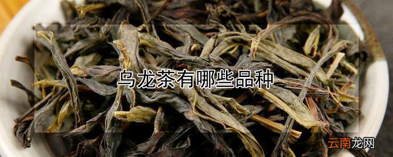 乌龙茶有哪些品种