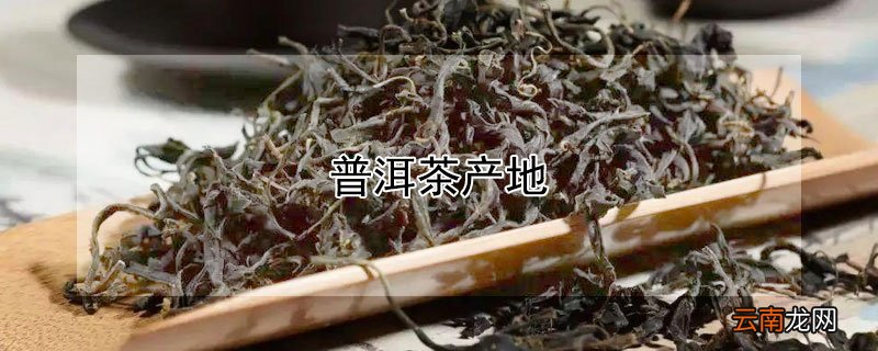 普洱茶产地