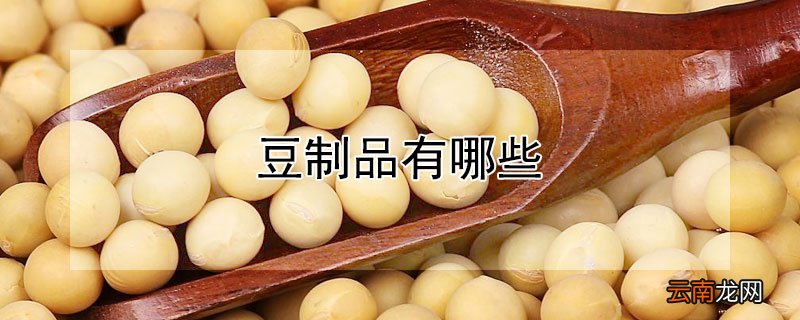 豆制品有哪些