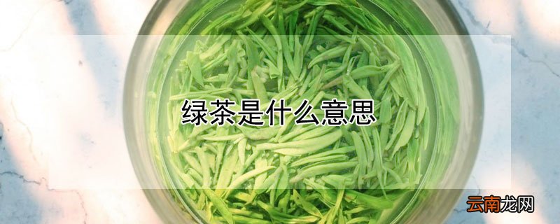 绿茶是什么意思
