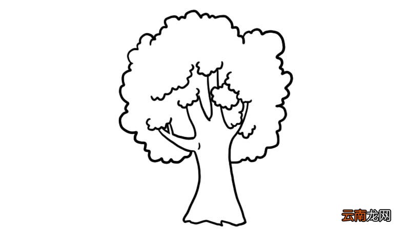 榕树简笔画