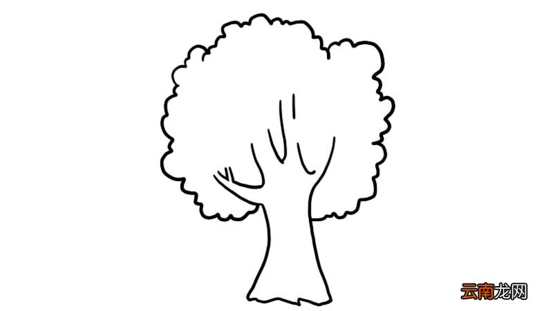 榕树简笔画