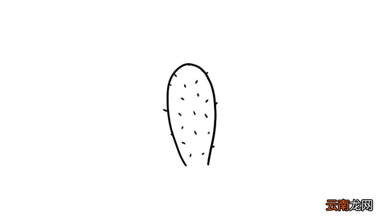 仙人掌盆栽简笔画