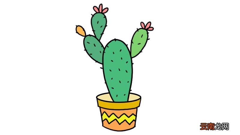 仙人掌盆栽简笔画