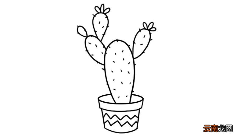 仙人掌盆栽简笔画