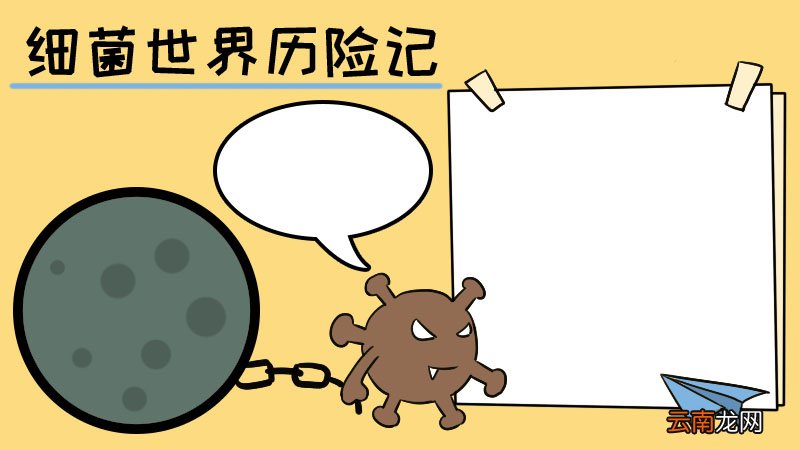 细菌世界历险记手抄报怎么画