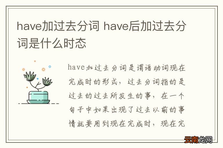 have加过去分词 have后加过去分词是什么时态
