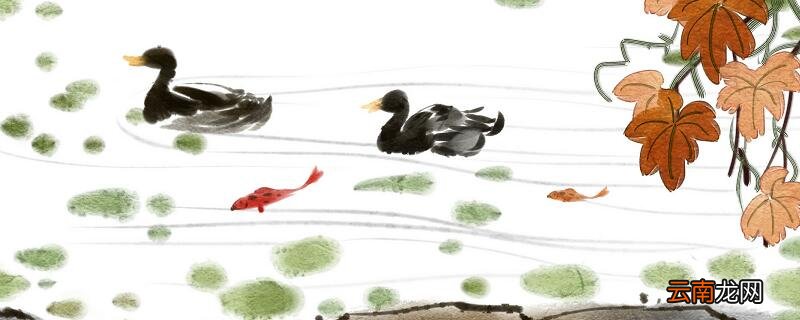 惠崇春江晚景描绘了一幅什么的画面 惠崇春江晚景本诗描绘了什么的画面