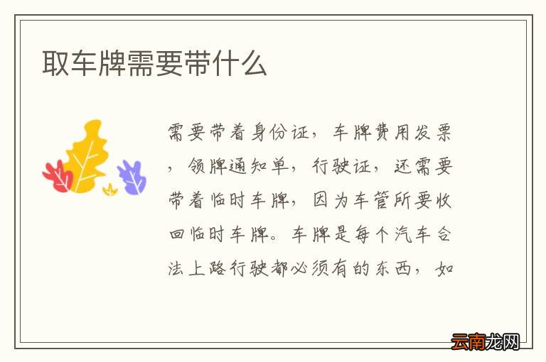 取车牌需要带什么