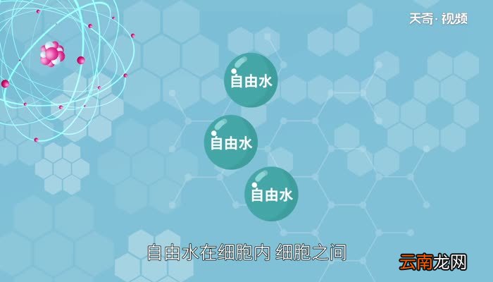 自由水和结合水的作用自由水和结合水有什么作用