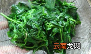 灰灰菜怎么做好吃 灰灰菜如何做好吃