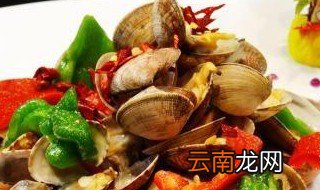 蛤蜊肉怎么做好吃 怎么做蛤蜊肉好吃