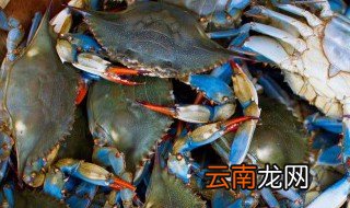 蟹脚肉如何做法窍门 蟹脚肉怎么做法窍门