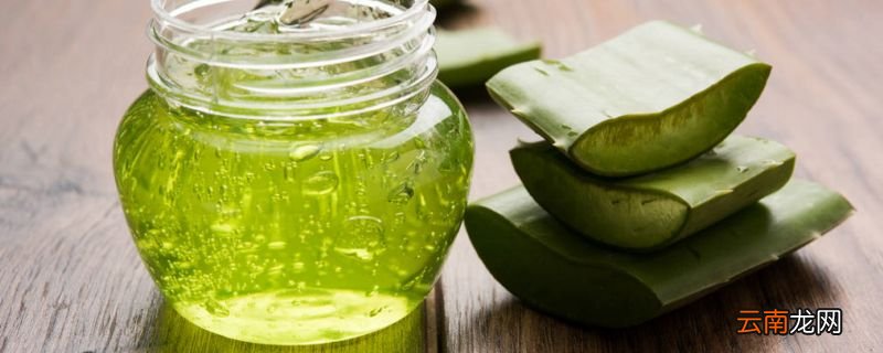 使用芦荟胶需要避免的误区有哪些 使用芦荟胶的误区