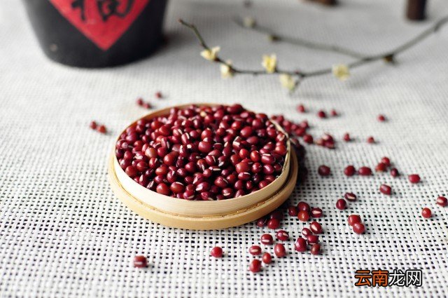 虚胖的人怎么减肥最快 虚胖的人减肥方法有哪些