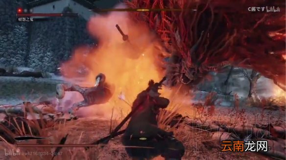 只狼哪个boss最难打 只狼全boss难度排名 第14位 樱龙_网