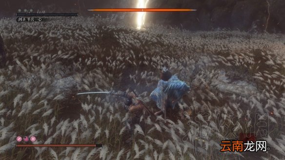 只狼哪个boss最难打 只狼全boss难度排名 第14位 樱龙_网