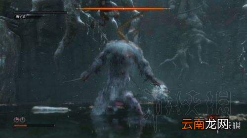 只狼哪个boss最难打 只狼全boss难度排名 第14位 樱龙_网