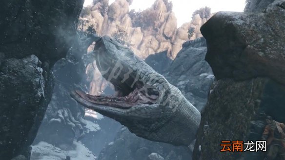 只狼老年一心流水线式逃课法 只狼老年一心逃课怎么打_网