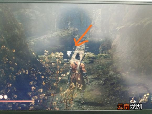 只狼影逝二度水生的凛逃课打法 只狼水生的凛逃课怎么打