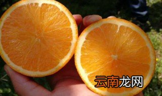 橙子的作用与功效 橙子的作用与功效有哪些