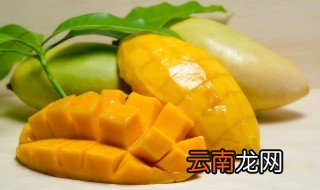 酸芒果的功效与作用 酸芒果的功效及作用