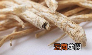 党参对男人有什么好处 有什么好处