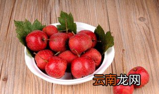 顺气的食物和水果 哪些食物和水果顺气