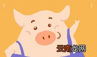 猪肺疫是什么症状 虽然一个病但症状也有不同