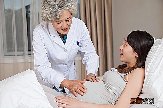 孕早期，胎宝究竟在孕妈肚子里干什么？人家随时都在努力成长呢