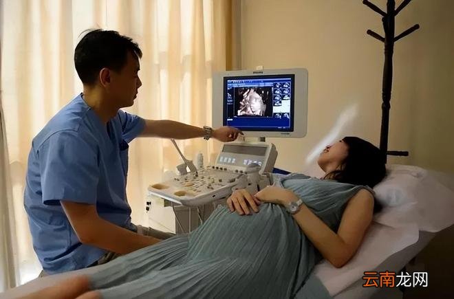 孕早期，胎宝究竟在孕妈肚子里干什么？人家随时都在努力成长呢