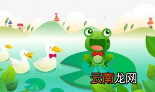 青蛙怎么养 关于青蛙健康的问题