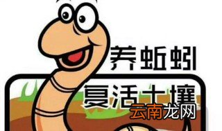 蚯蚓怎么养不会死 怎么养蚯蚓不会死