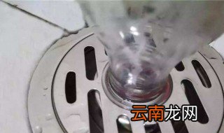 家里有小飞虫怎么根除 教你6个方法