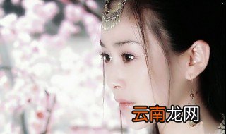 寸心大结局 是什么电视剧