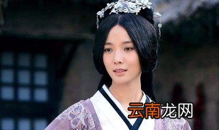 卫子夫大结局 电视剧卫子夫的大结局是什么吗